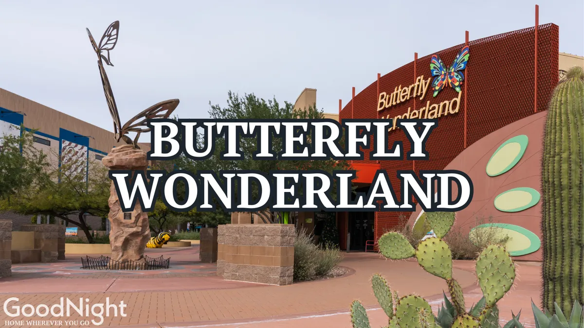 The exterior of Butterfly Wonderland featuring a large butterfly sculpture, the recognizable Butterfly Wonderland sign, desert landscaping with cacti, and lush greenery. The atmosphere is playful and inviting, perfect for families looking for educational and interactive experiences.